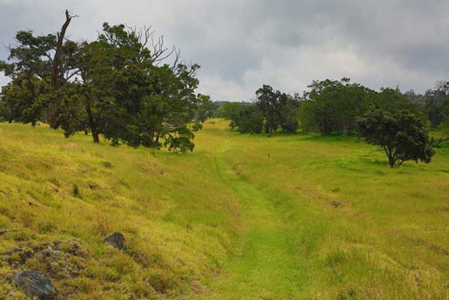 The last section uphill before connecting to Upper Glover Trail