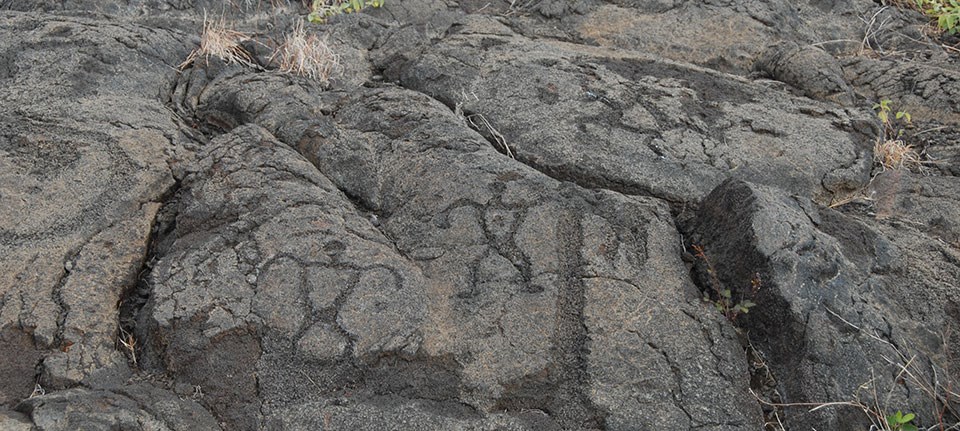 petroglyphs