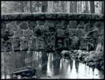 Yosemite Creek Bridge, Yosemite National Park.