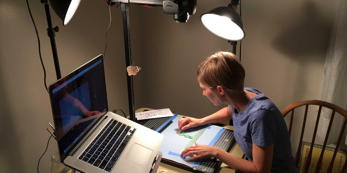 Animator Erin Anfinson in 2017 A woman works on artwork at a table with a computer.