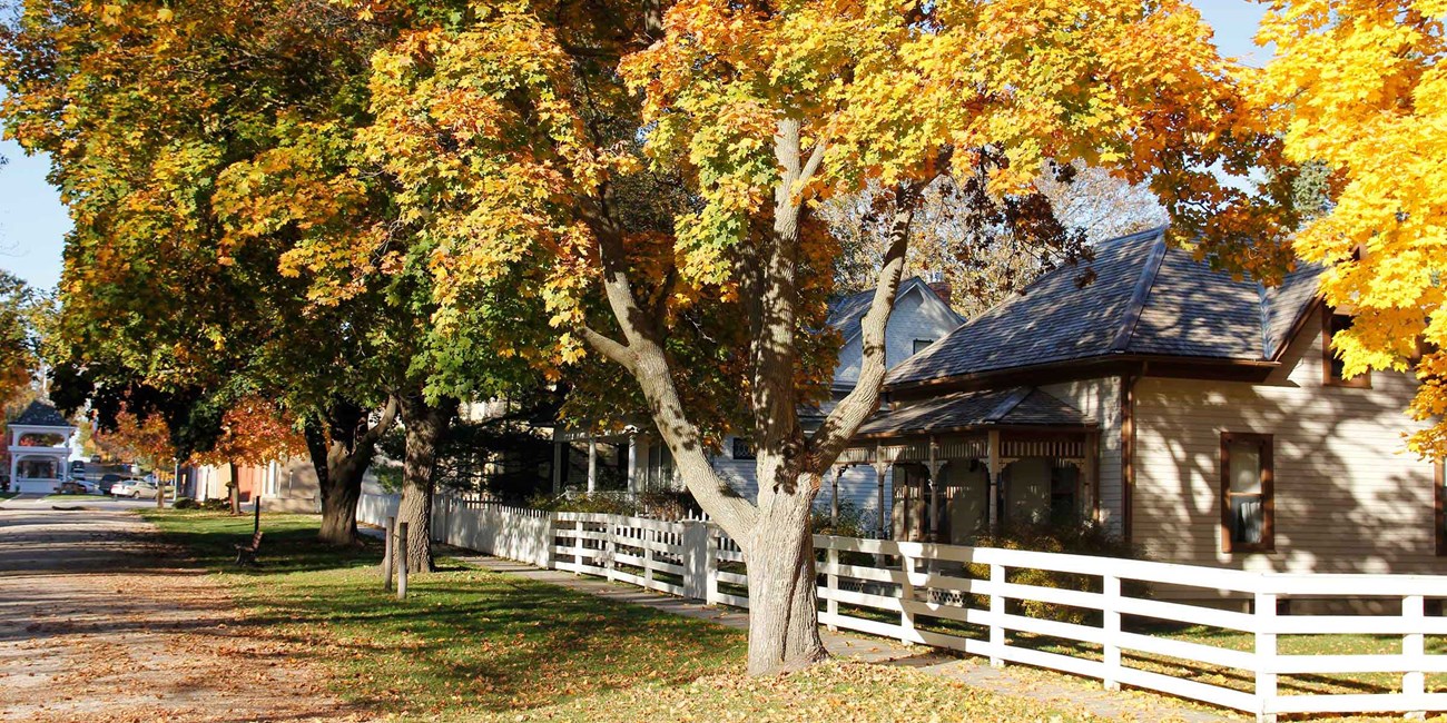 Trees in autumn foliage line a gravel street and obscure 1800s houses.