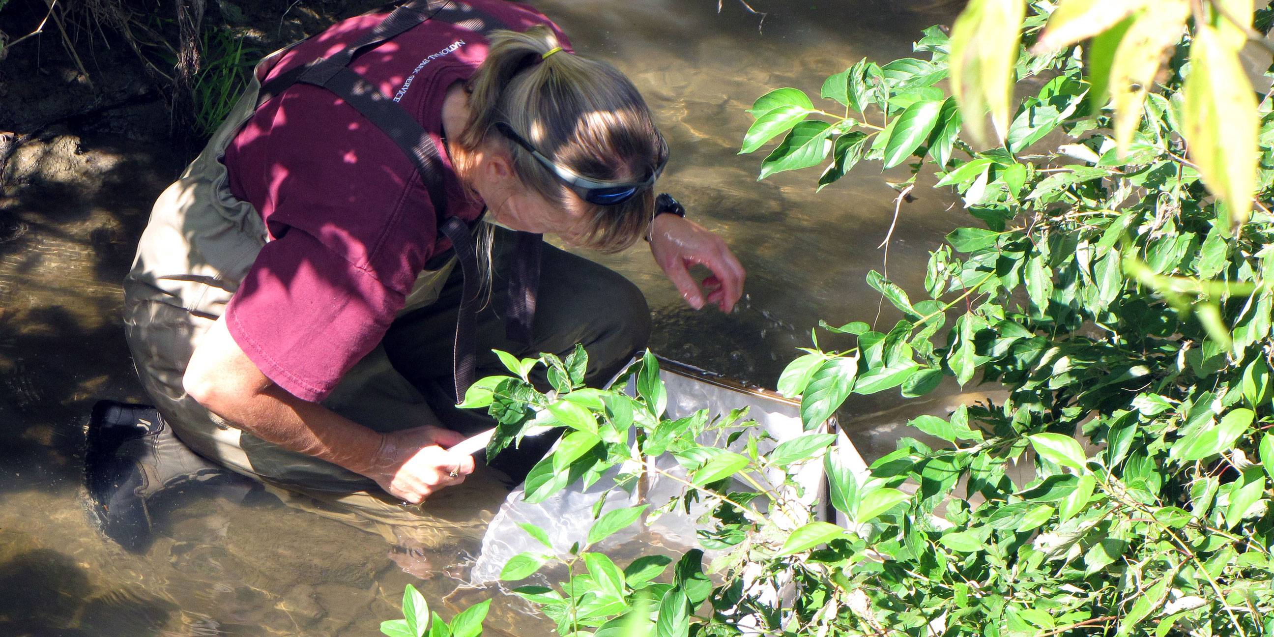 heho_aquatic_monitoring_2014_2.jpg?maxwi