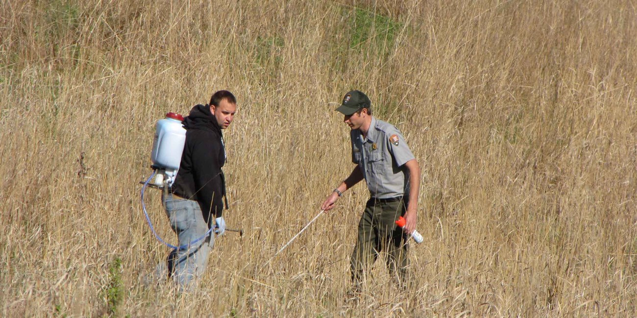 Herbicide Application at Herbert Hoover NHS Two men walk through a grassland with spraying equipment.