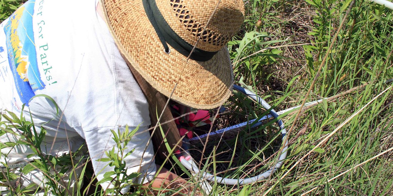 A scientist in straw hat examines plant species inside a circular plot.