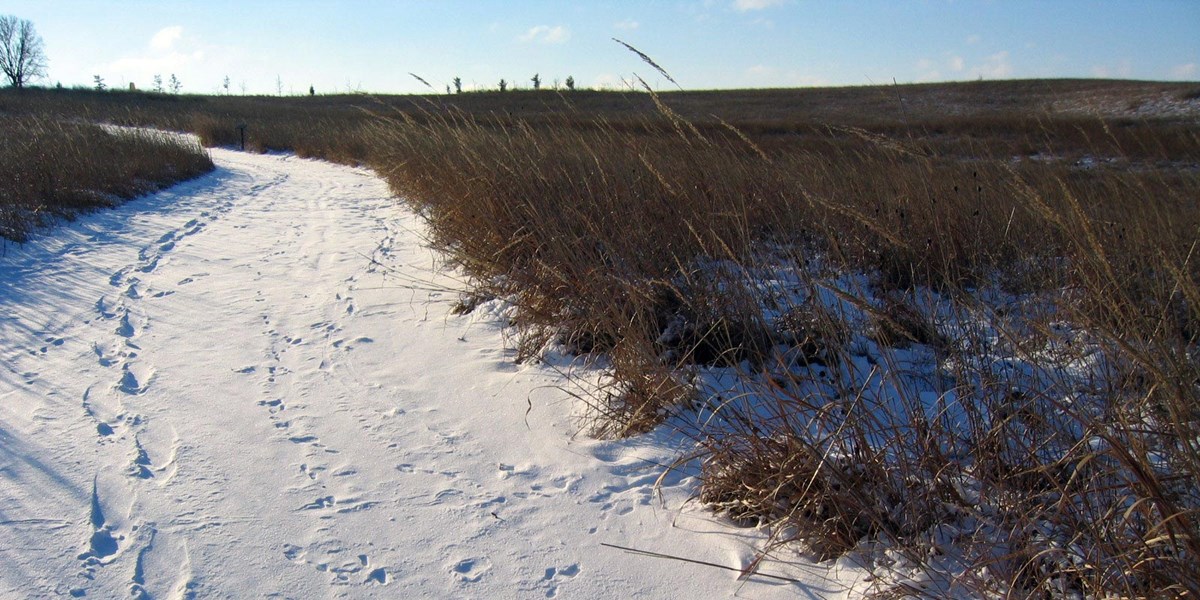 Human and animal tracks mark a snowy prairie trail. Human and animal tracks mark a snowy prairie trail.