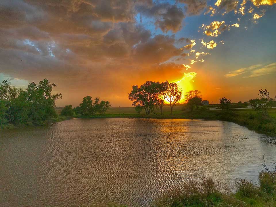 Sunset at the Homestead Park by Jim Schlett The sun sets in a colorful sky behind a tree by a pond.
