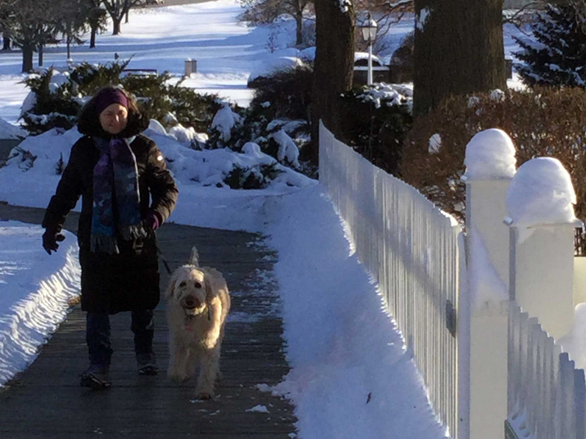 A woman in a winter coat walks her shaggy white dog on a boardwalk in a snowy park.