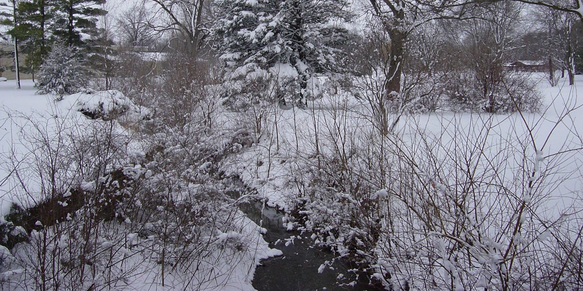 Hoover Creek in Winter A shallow creek meanders through a snow covered park landscape.