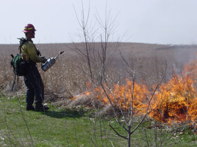 A fire technician ignites a prescribed burn on the priaire in April 2004.