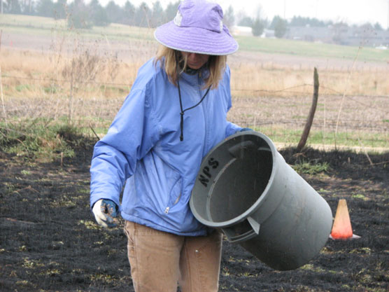 A woman scattering prairie seeds from a gray bucket. A woman scattering prairie seeds from a gray bucket.