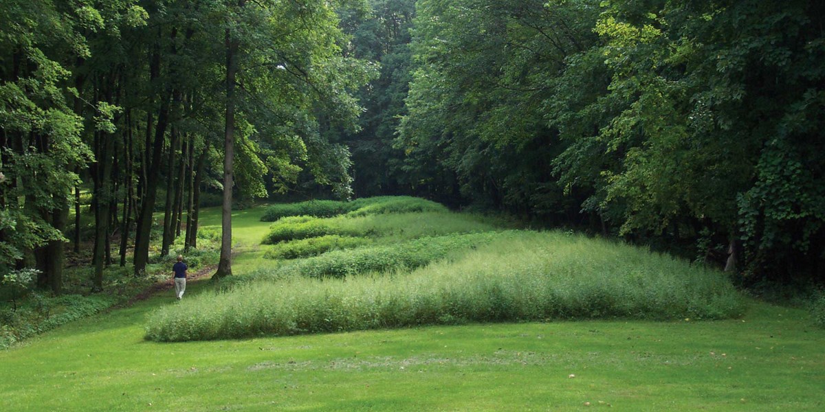 Marching Bear Mounds at Effigy Mounds NM Mowed grass defines a line of bear shaped mounds in the woods.