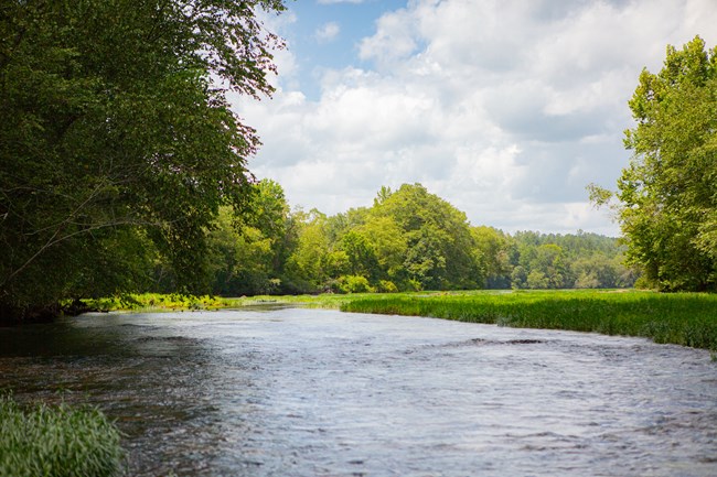 A section of river surrounded by trees
