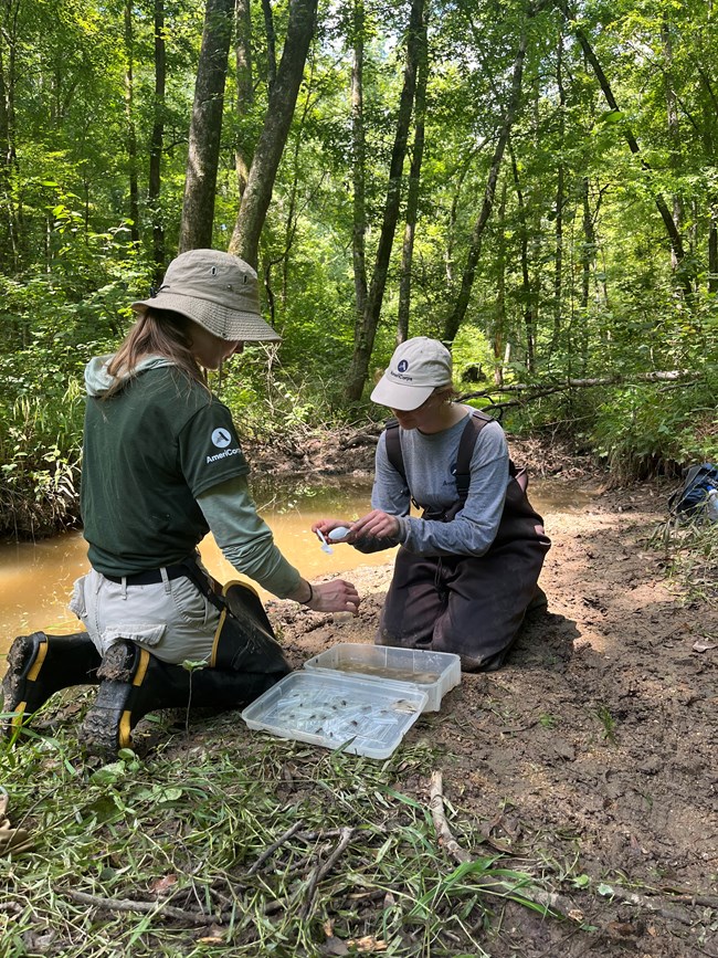 Two crew members analyze samplings from the creek they are sitting next to