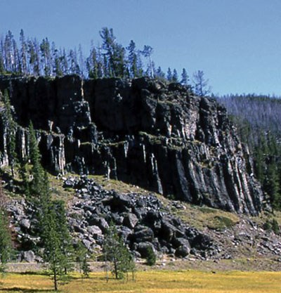 A large cliff of gray and black-colored rock jutting up from yellow grassy areas with pine trees atop it