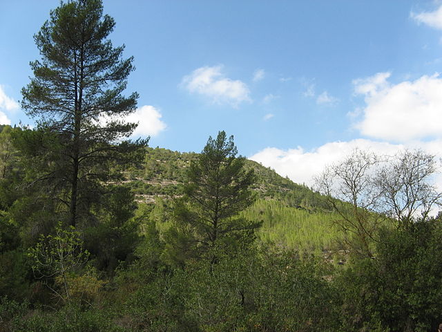 Jerusalem Mountains, Israel