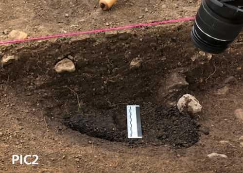 A dark spot in the dirt with a pink string above it