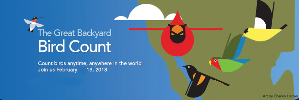 2018 GBBC Caricatures of several birds in a blue sky