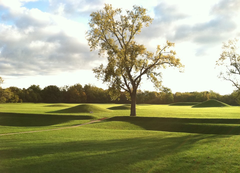 Green grass-covered mounds under an early morning rising sun with long shadows protruding from right to left of scene.