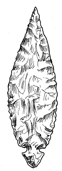 Adena point ink drawing of a projectile point
