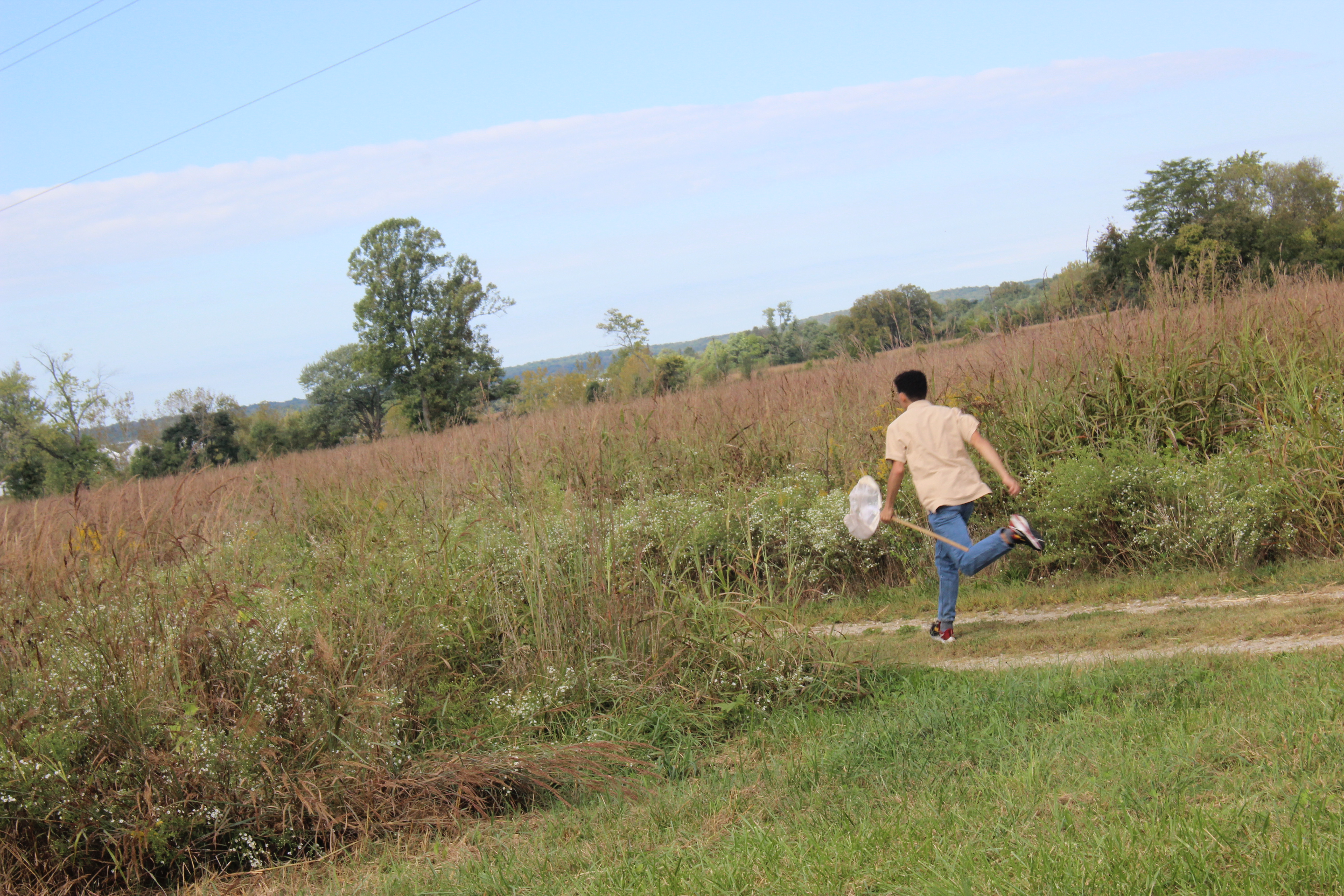 a young person runs on a park trail through a field of tall grasses.