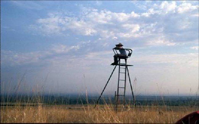 A national park scientist from the Heartland Network monitors birds in a grassland.