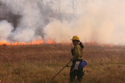 Dafna Reiner HMG Fire