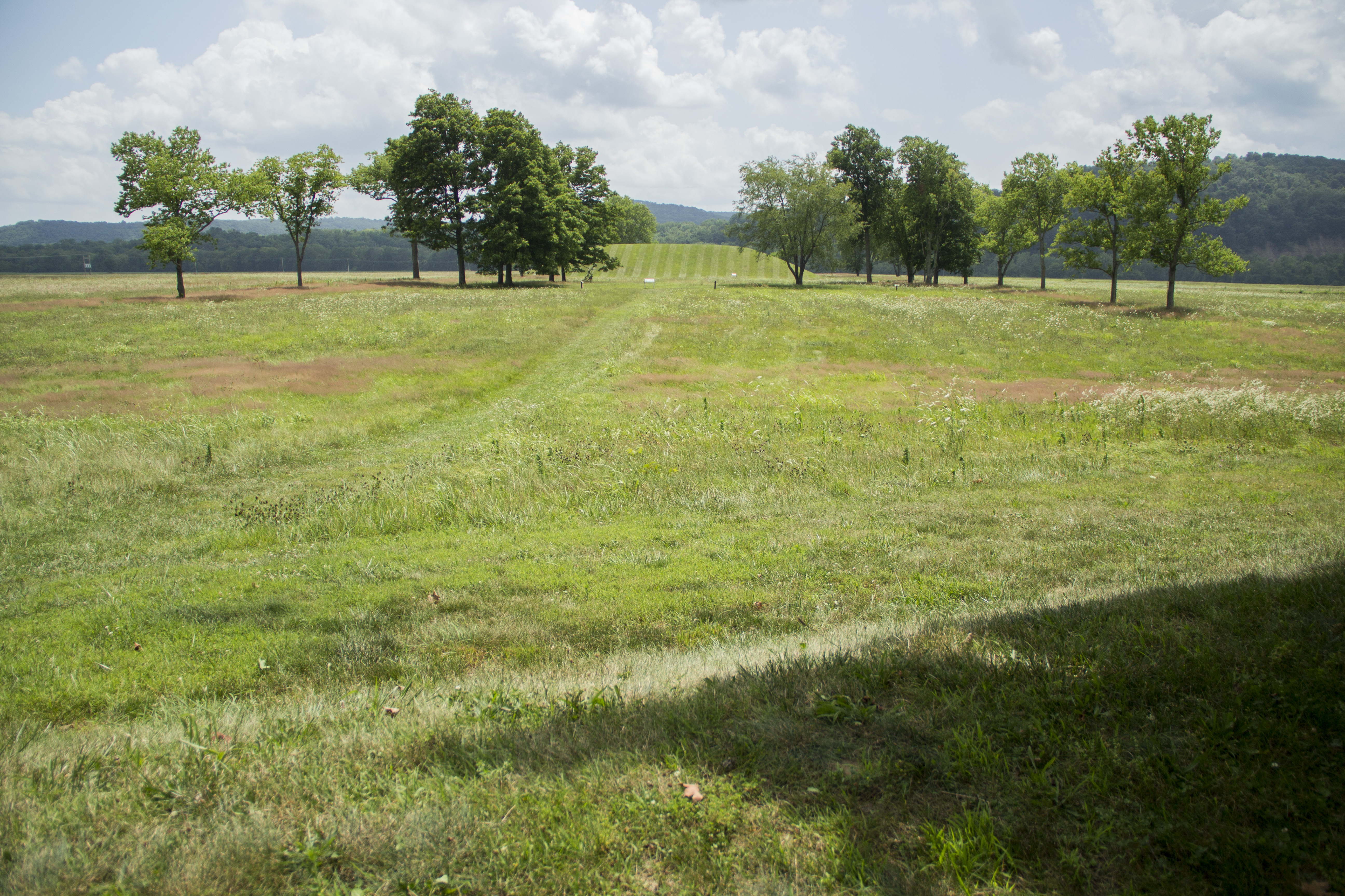80 acres of grassland near Seip Earthworks will be restored. a large loaf shaped mound sits in a field surrounded by trees.