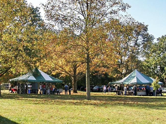 Discovery Day Tents