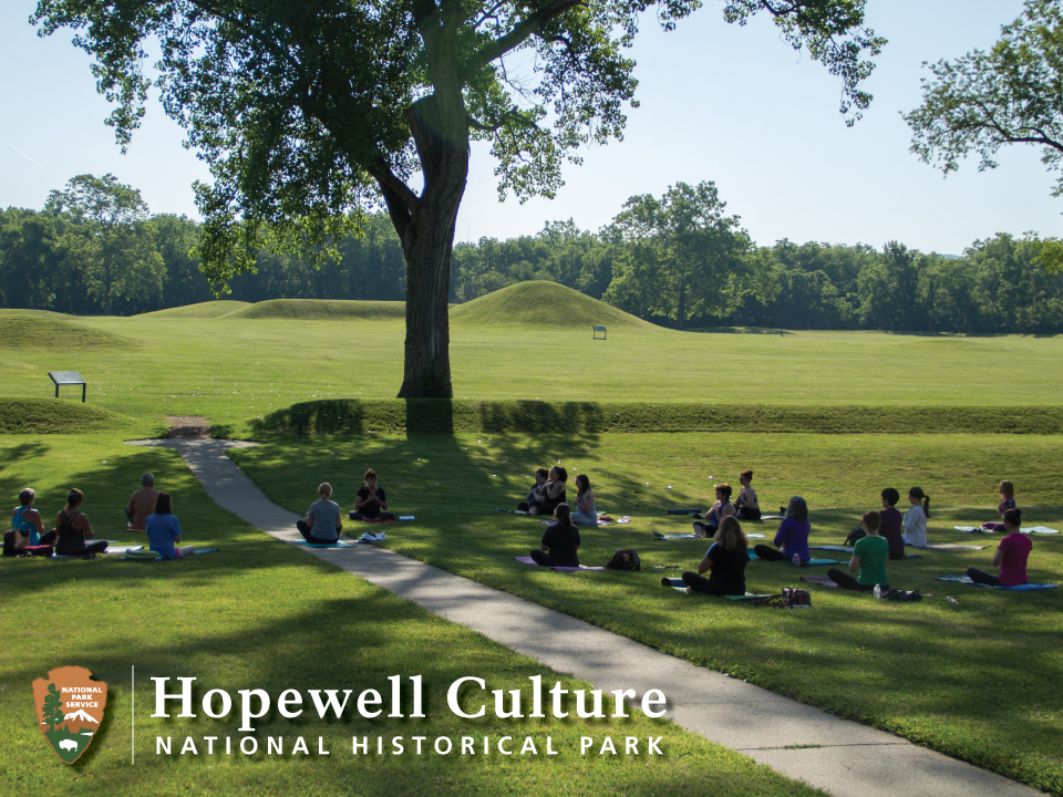 Several people in the shade on the grass doing yoga