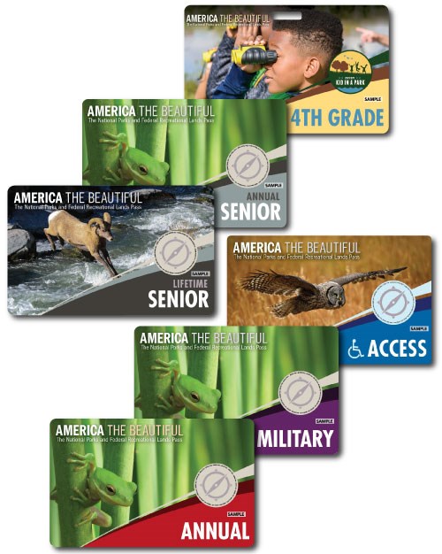 Cards with bighorn sheep, green frogs and children on the fronts