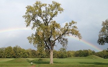 MCG Summer Rainbow