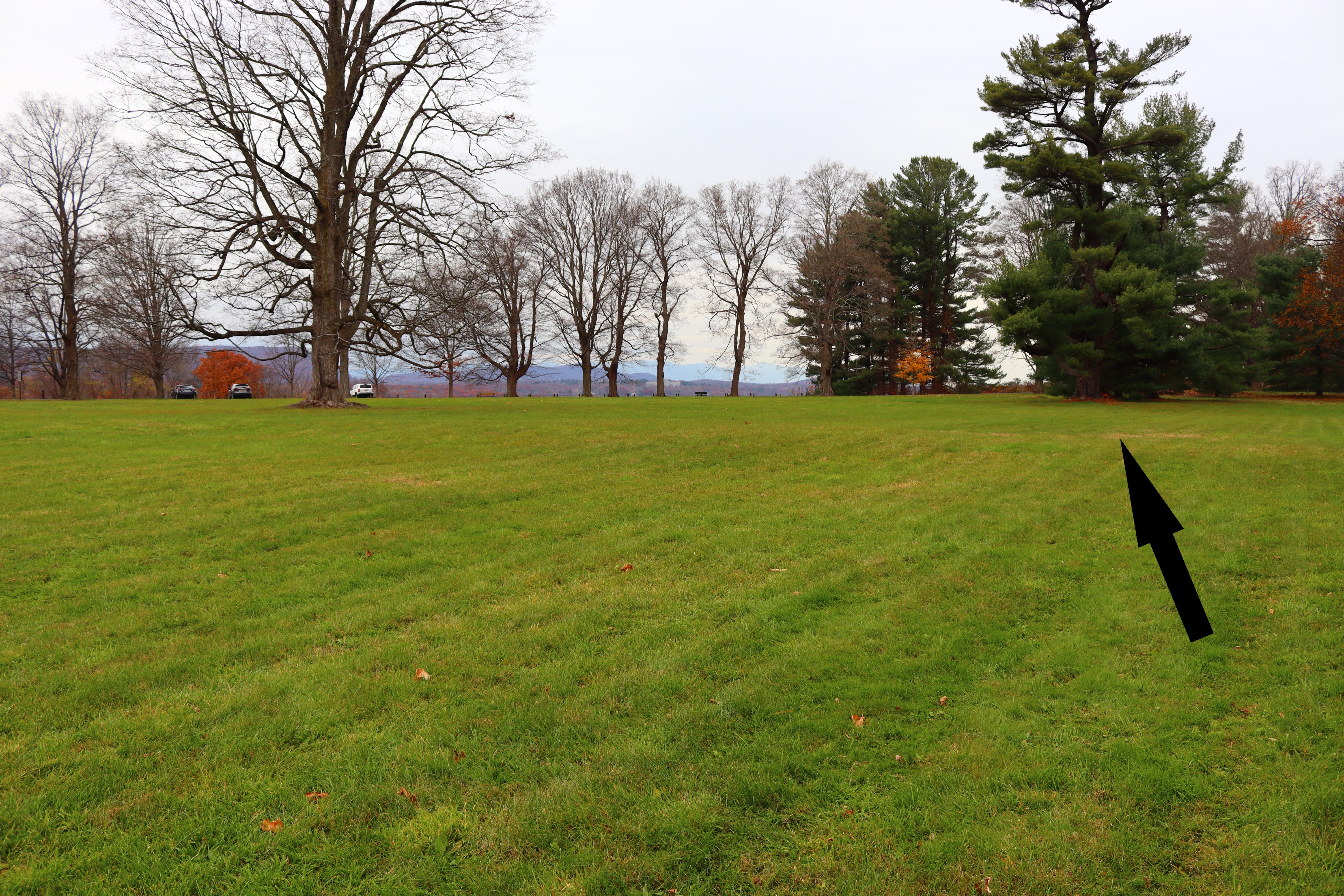 Evidence of the former exit drive A field of green grass with a slightly raised section. A black arrow points to this section. Trees are in the background.