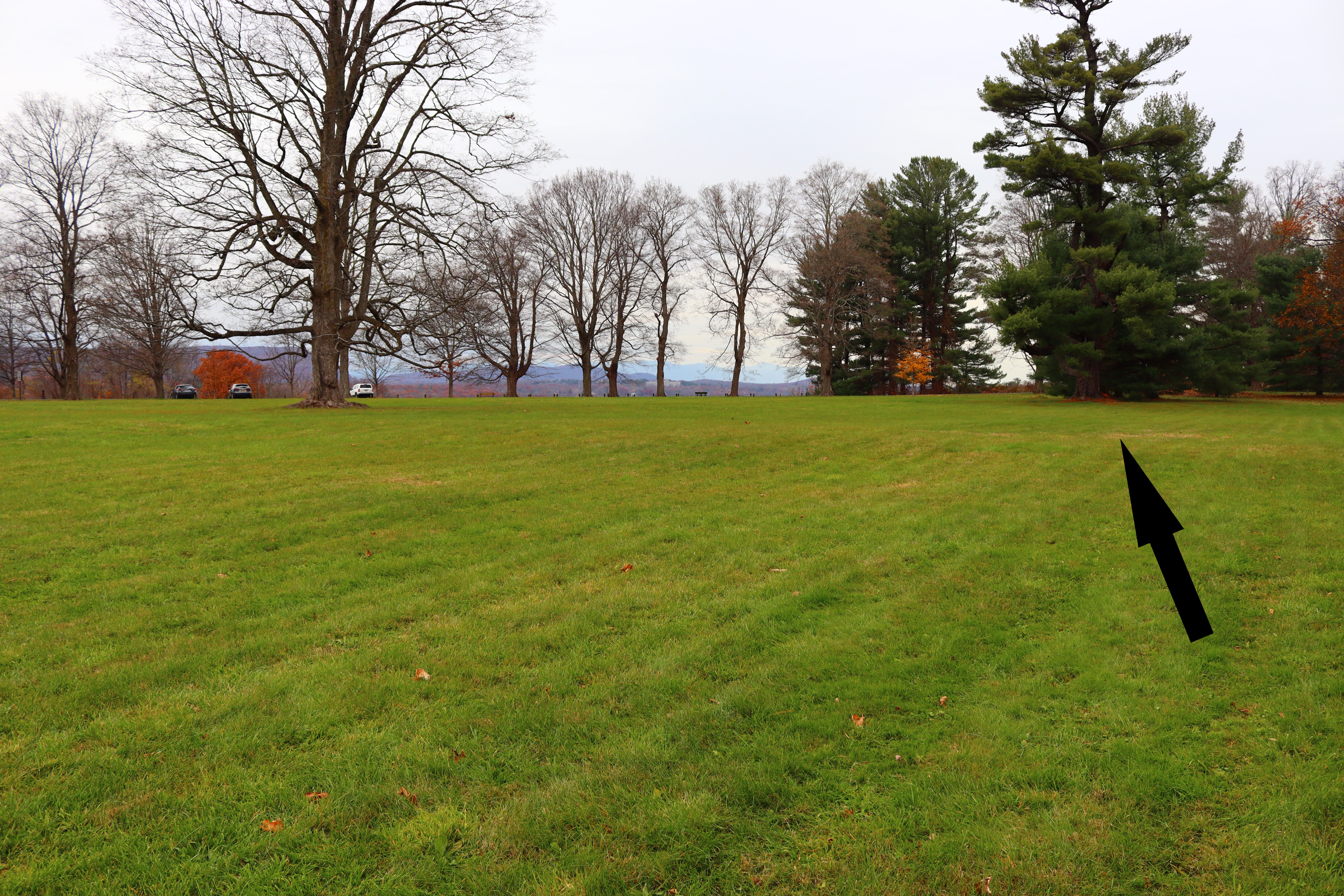 A field of green grass with a slightly raised section. A black arrow points to this section. Trees are in the background.