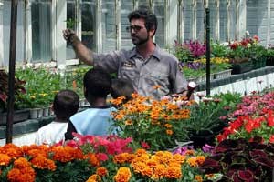 The President's Petunias