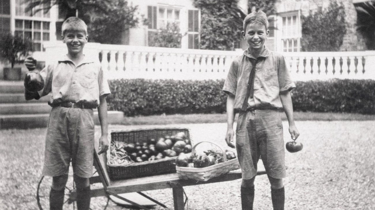Two young boys beside a cart proudly display vegetables from a garden.
