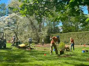 People planting shrubs and trees.