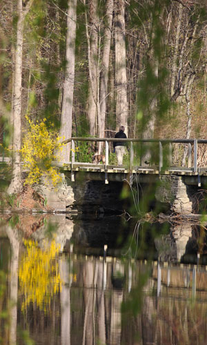 Wooden Bridge at Val-Kill