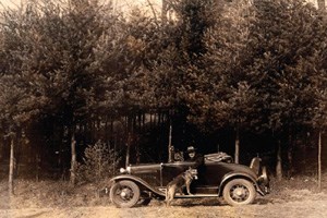FDR on Tree Farm FDR on Tree Farm