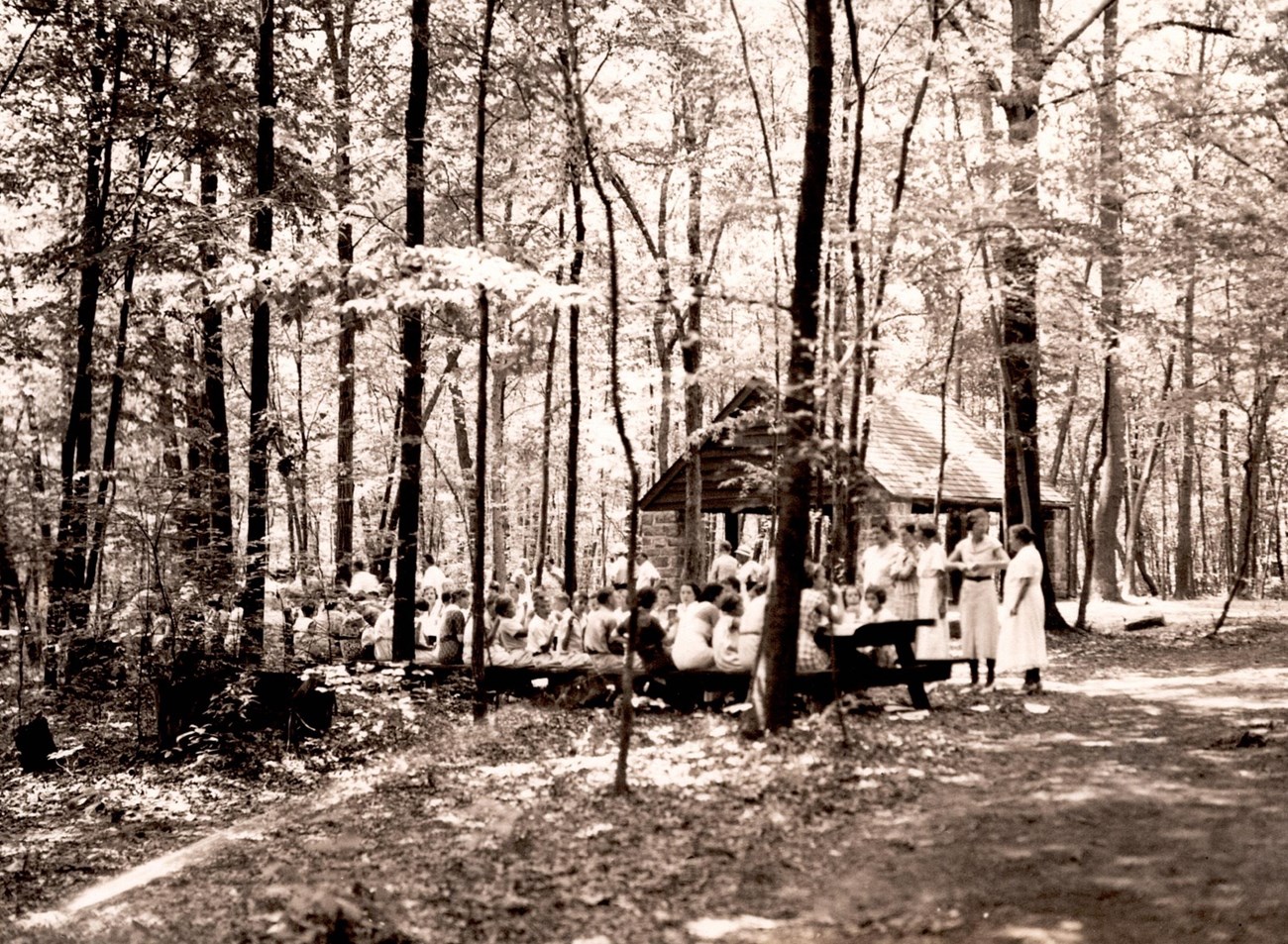 A group of people picnic in the woods.