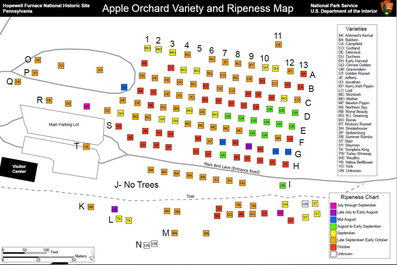 Detailed map with data points of the apple varieties present in Hopewell's orchard.