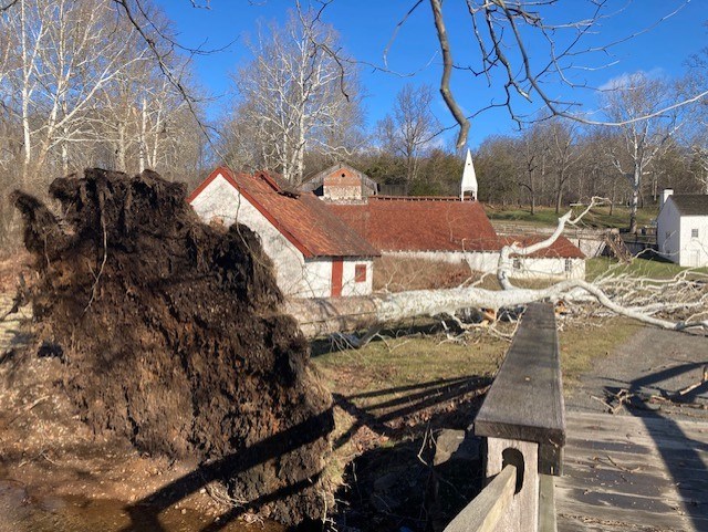 An uprooted tree's roots next to a wooden bridge. Buildings in the background.