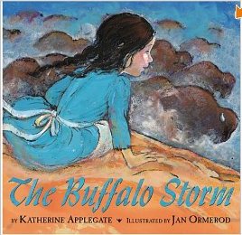 The Buffalo Storm Book