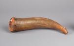 Powder Horn (539)