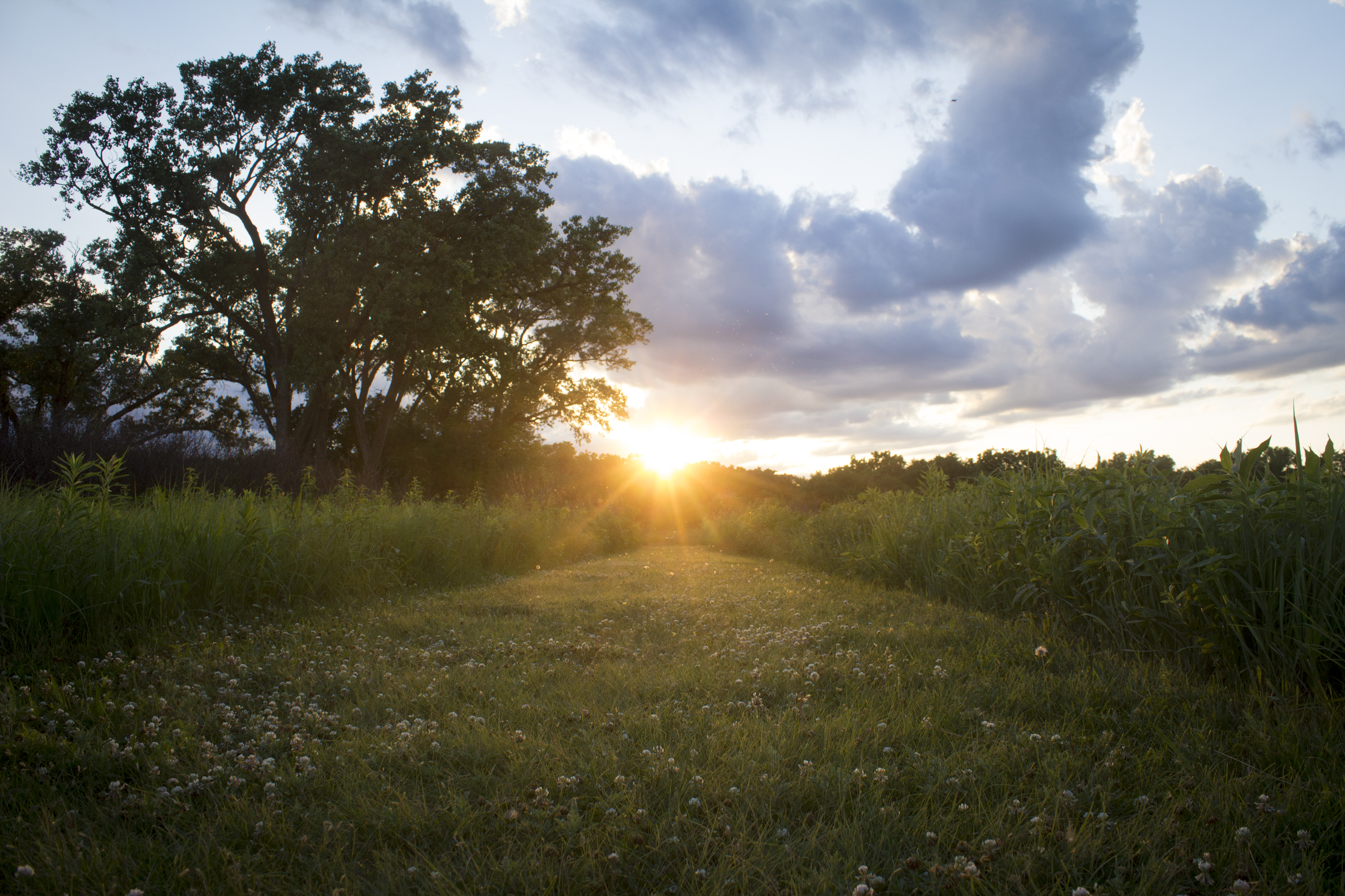 Sunset on the tallgrass prairie