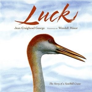 Luck Book
