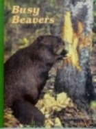 busy beavers