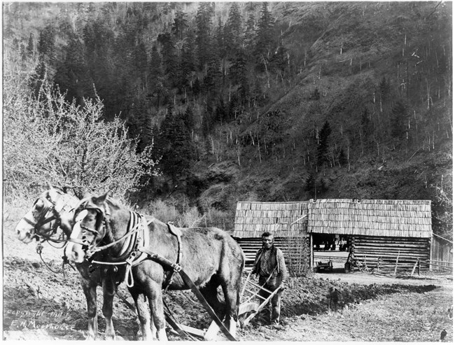 Two horses pull a plow held by a man across a field in front of a log structure
