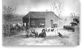 did early homesteaders make a lot of money