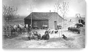 Custer County Homestead