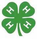 4-H CLOVER 4-H CLOVER